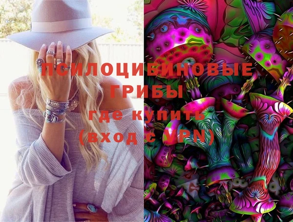 PSILOCYBIN Белоозёрский