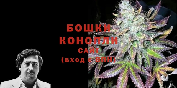 mdma Снежногорск
